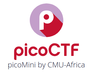 picoMini by CMU-Africa 参加レポート&全問解説