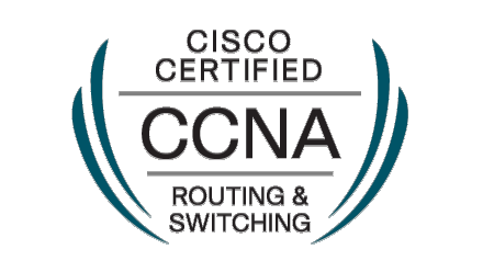 【法学部出身・未経験から1ヶ月でCCNA合格】戦略的学習と実機演習で駆け抜けた新入社員研修3ヶ月間の記録